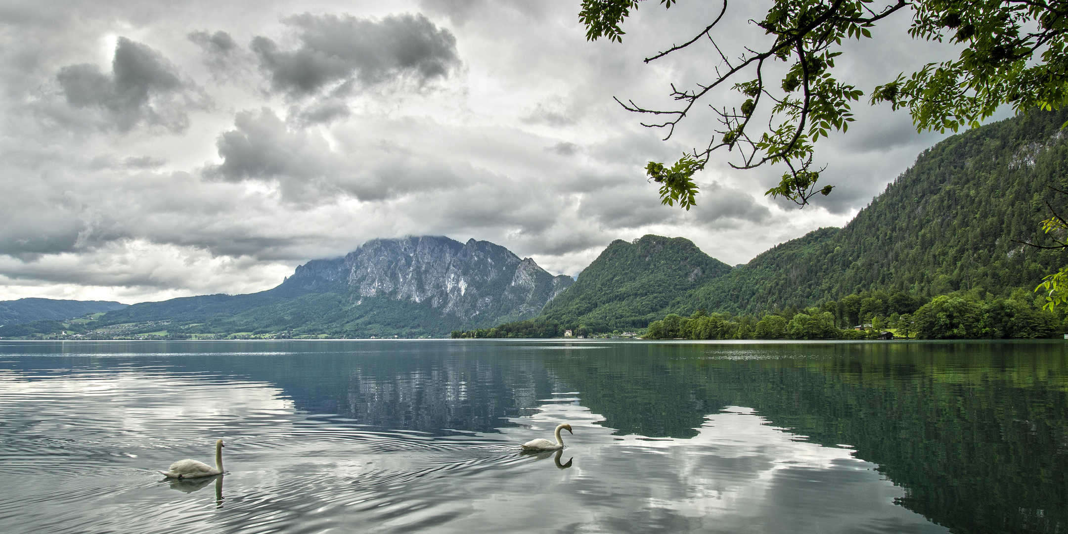 "Schwanensee"