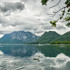 "Schwanensee"