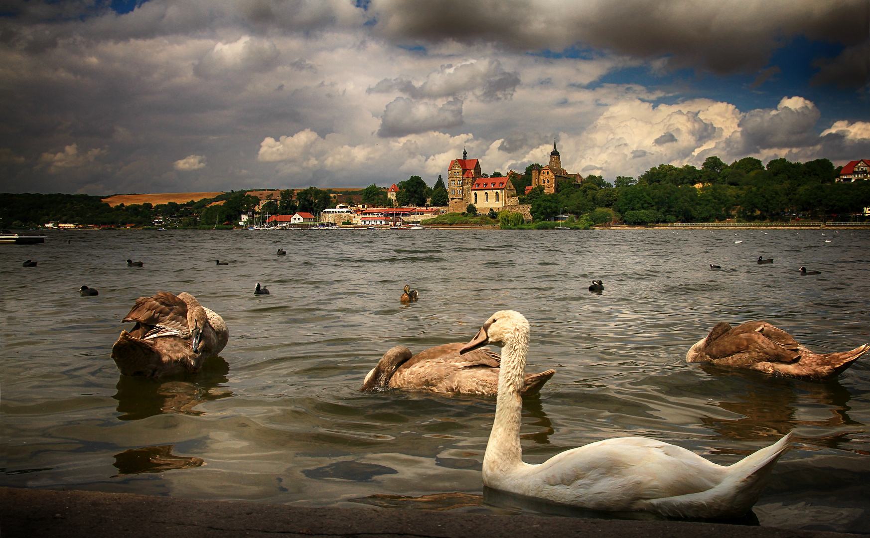 Schwanensee