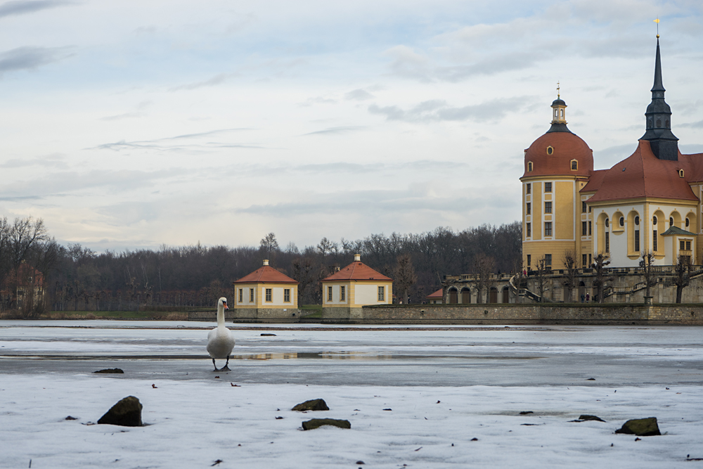 Schwanensee