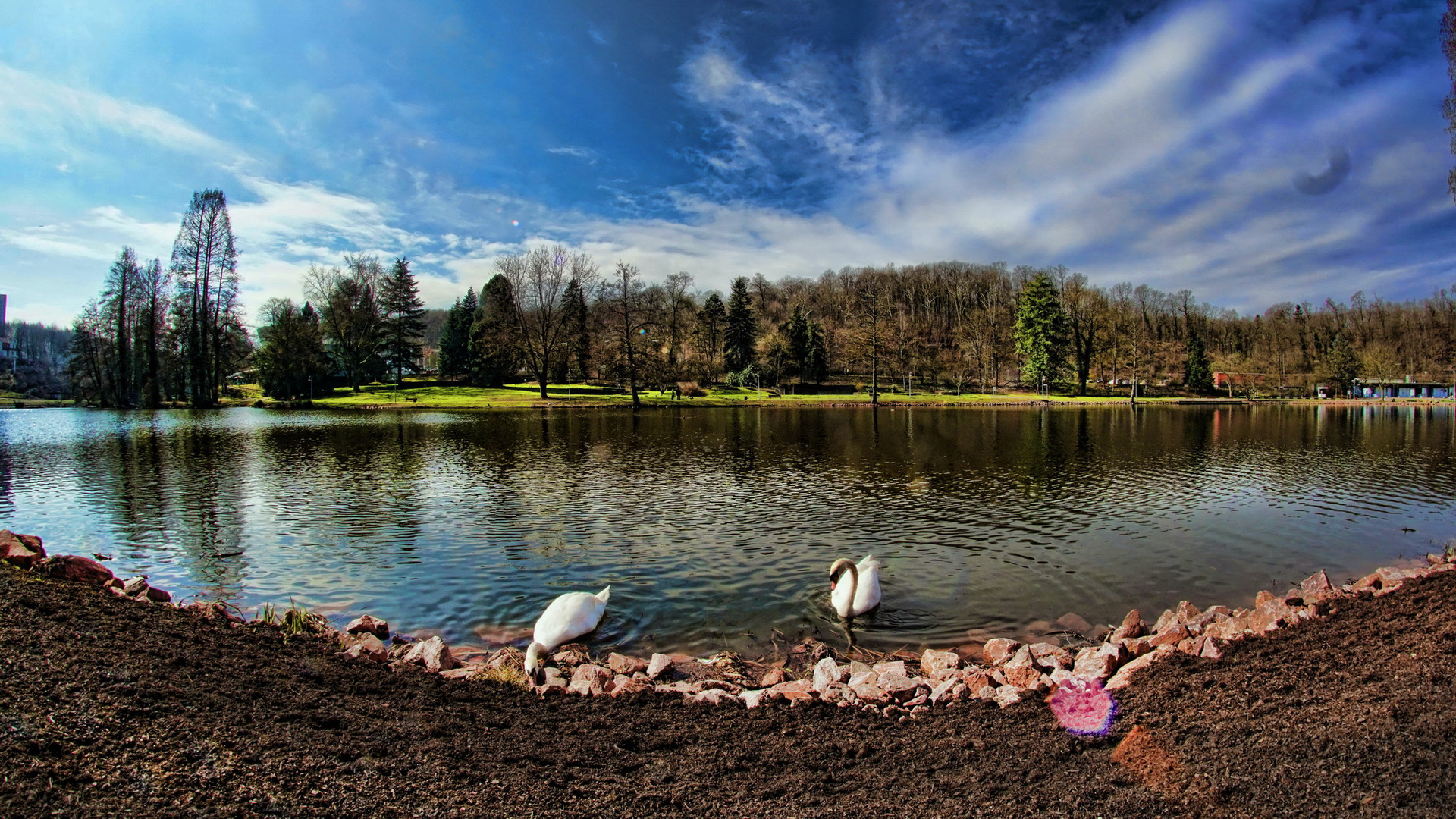 Schwanensee