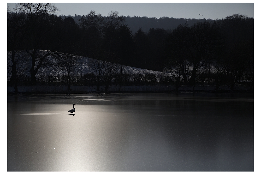 Schwanensee