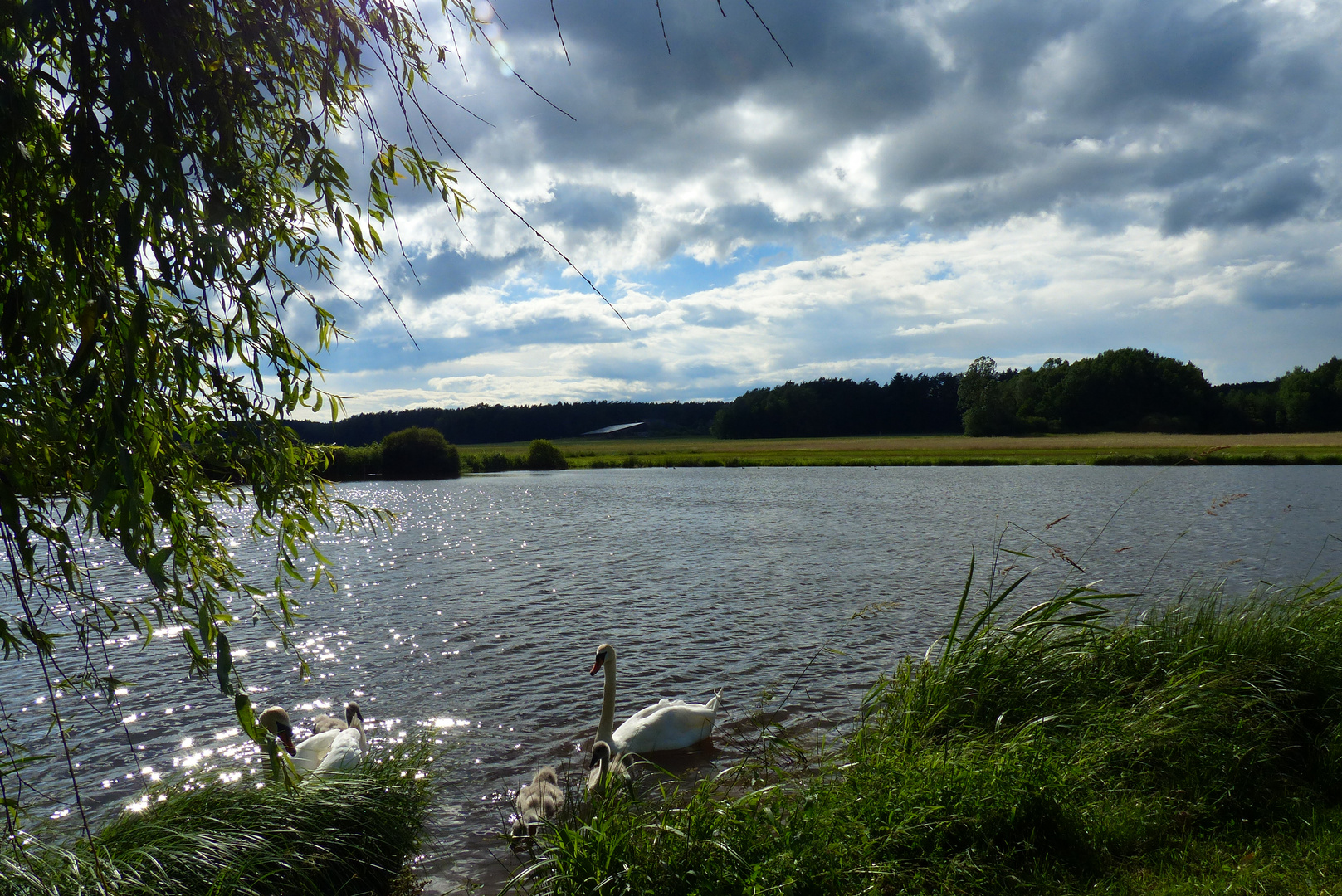 Schwanensee