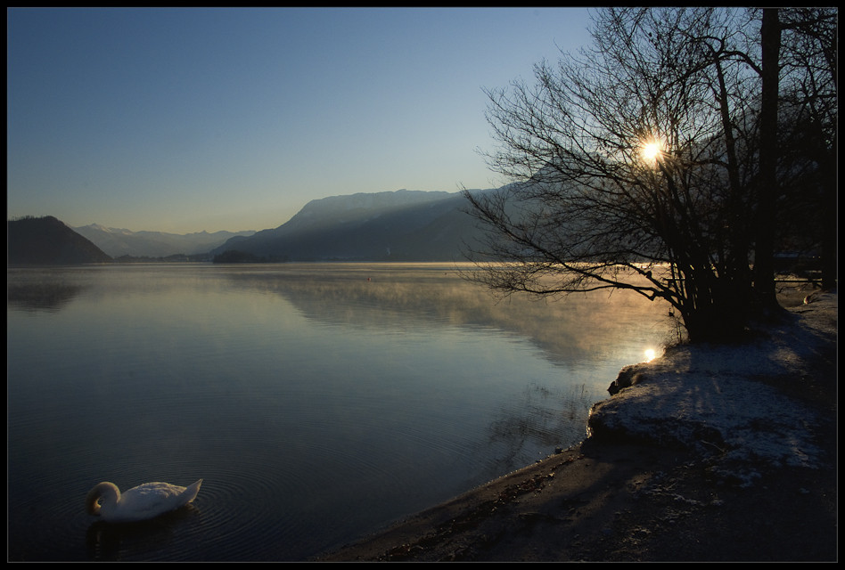 Schwanensee