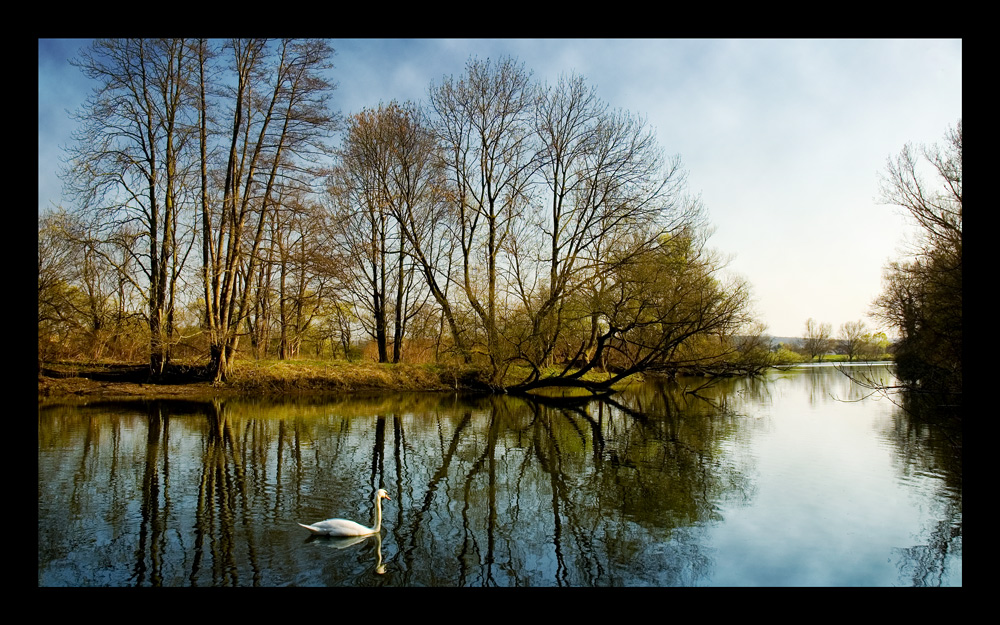 Schwanensee