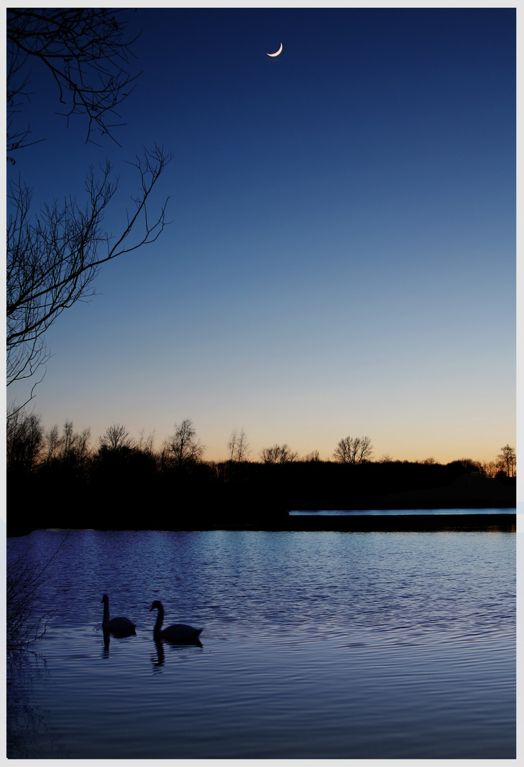 Schwanensee in der Dämmerung