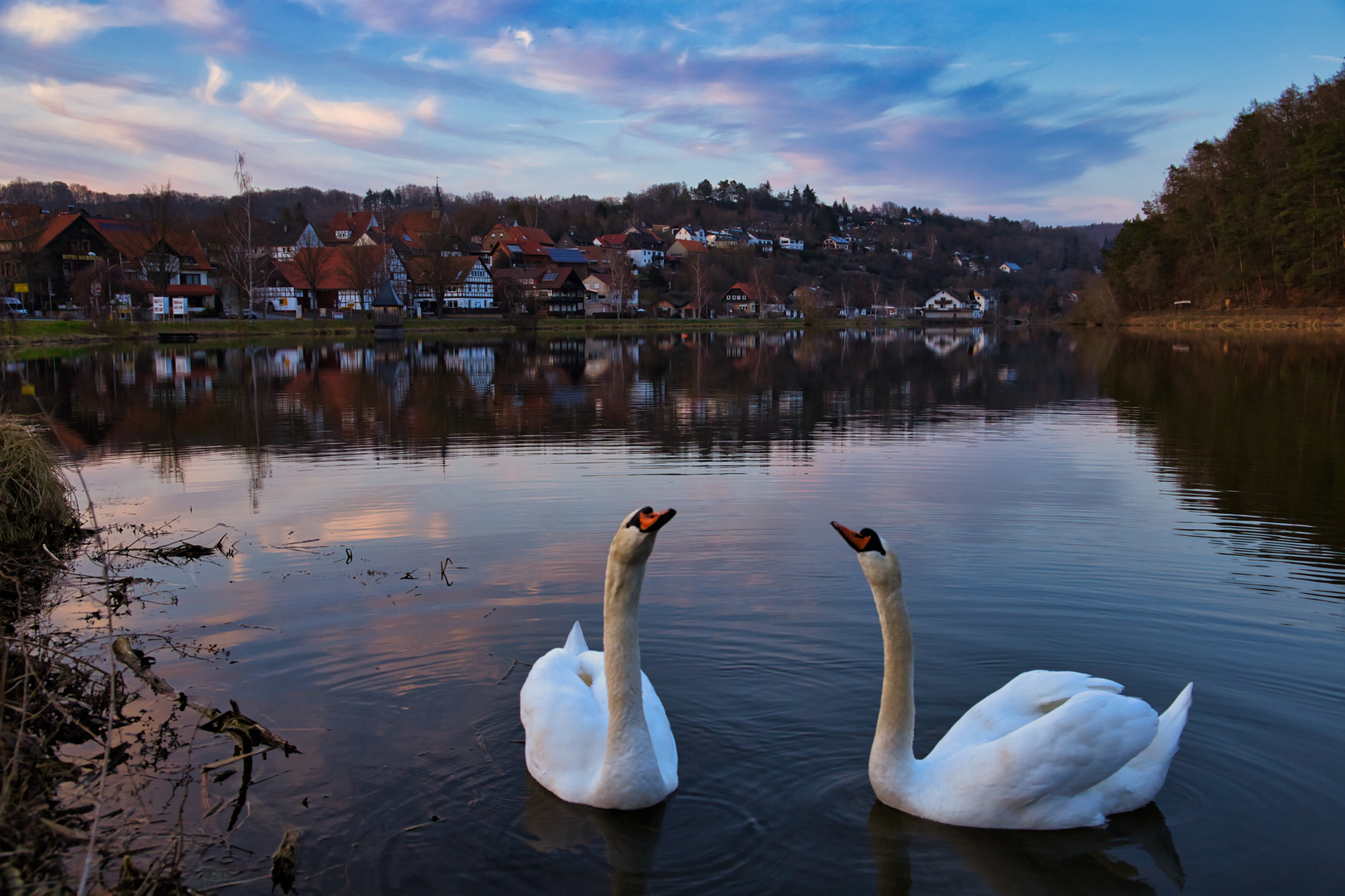 Schwanensee mit Spiegelung.