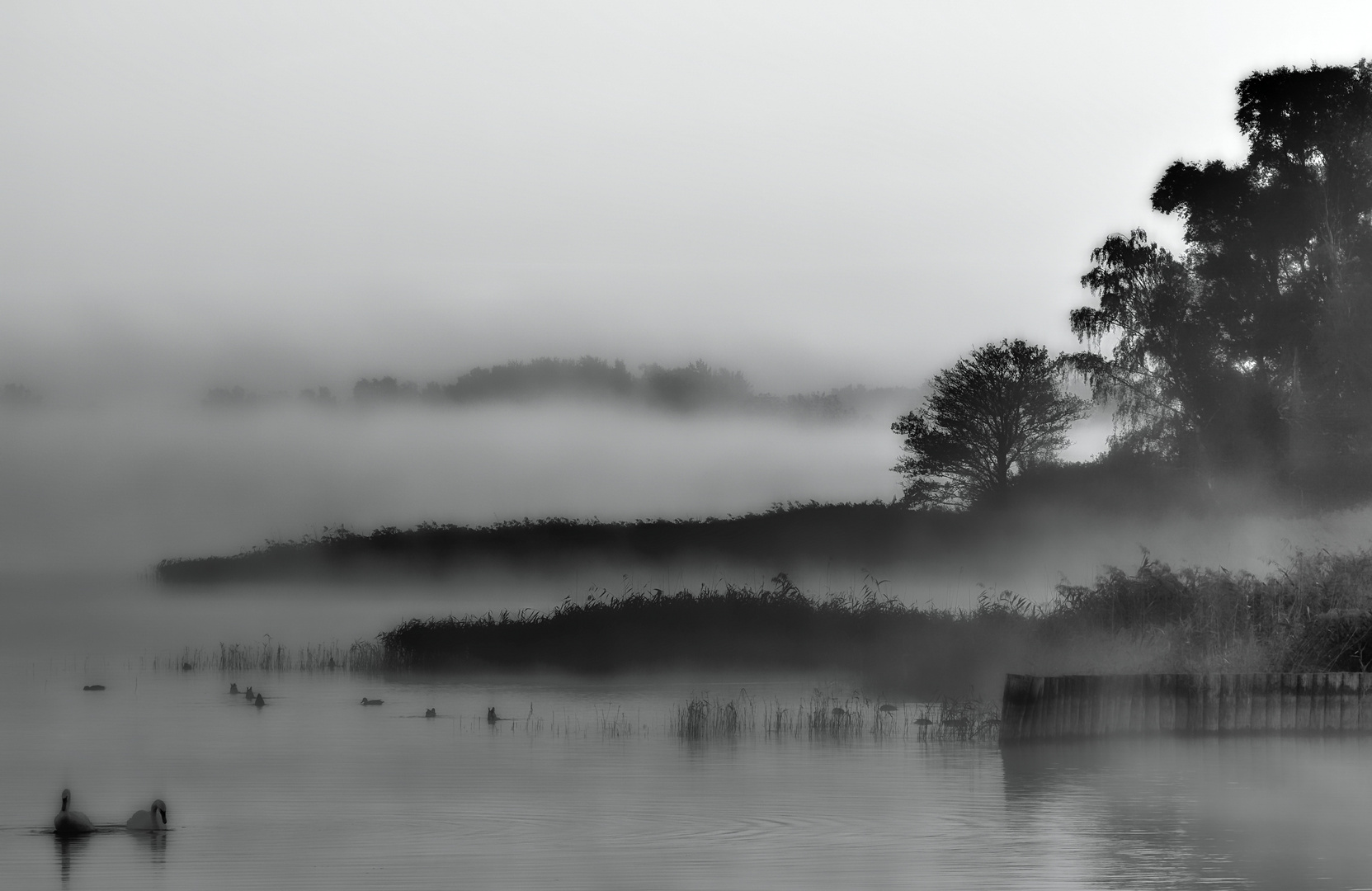 schwanensee-variation ...