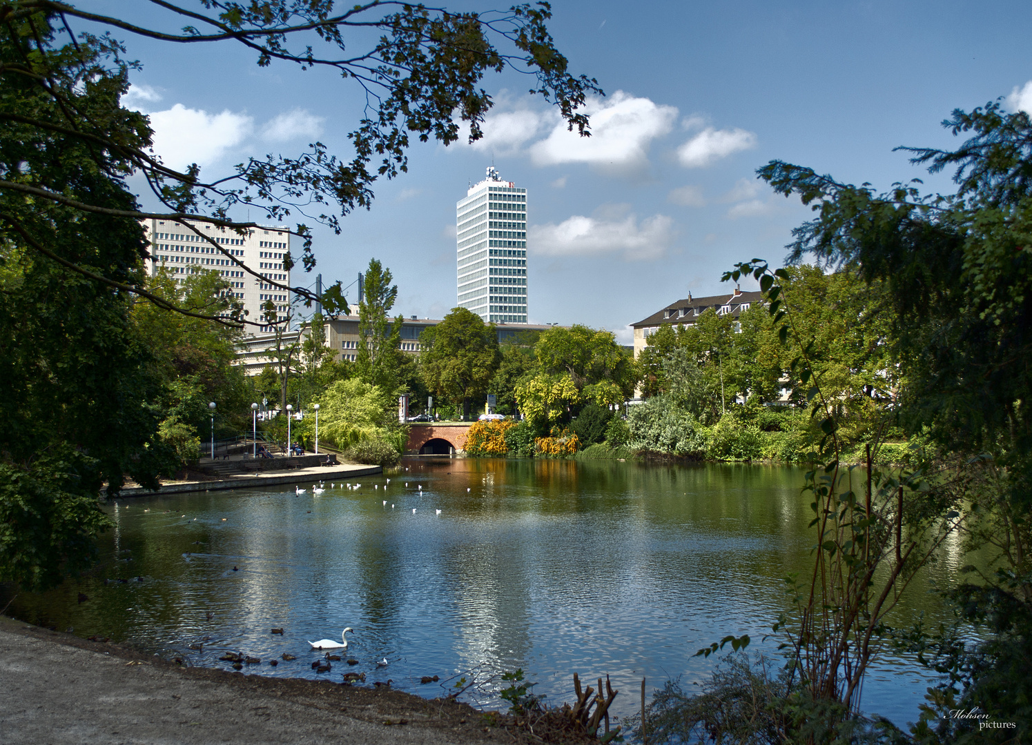 Schwanenspiegel Düsseldorf