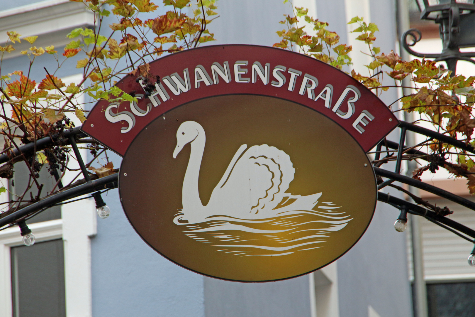 Schwanenstraße