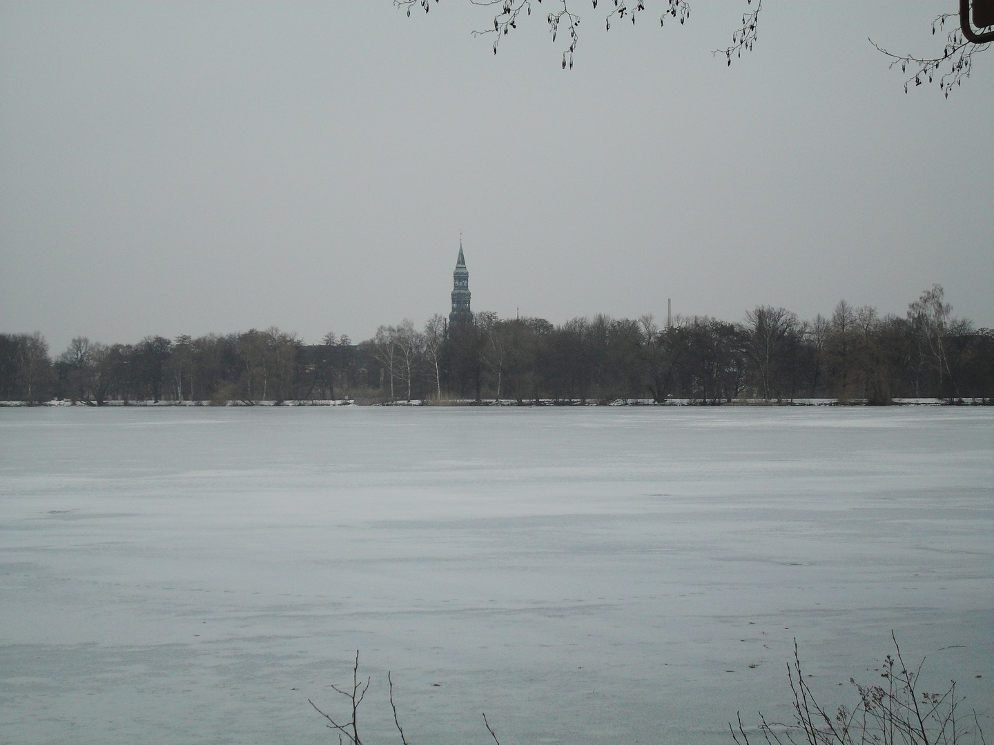 Schwanenteich im winter