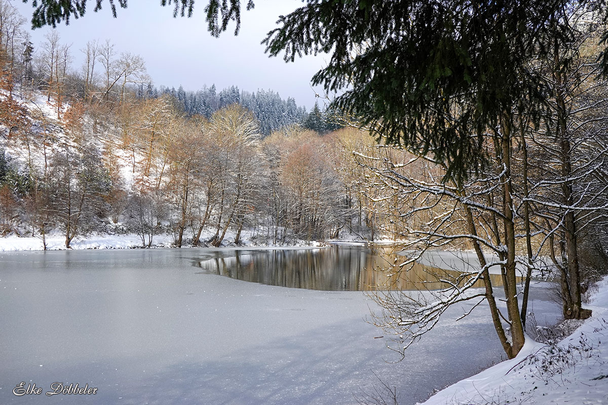 Schwanenteich im Winter in Neuwied-Oberbieber