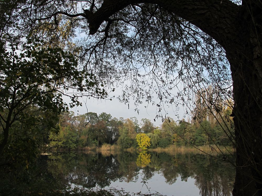 Schwanenweiher