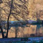 Schwanenweiher im Winter Bad Bergzabern