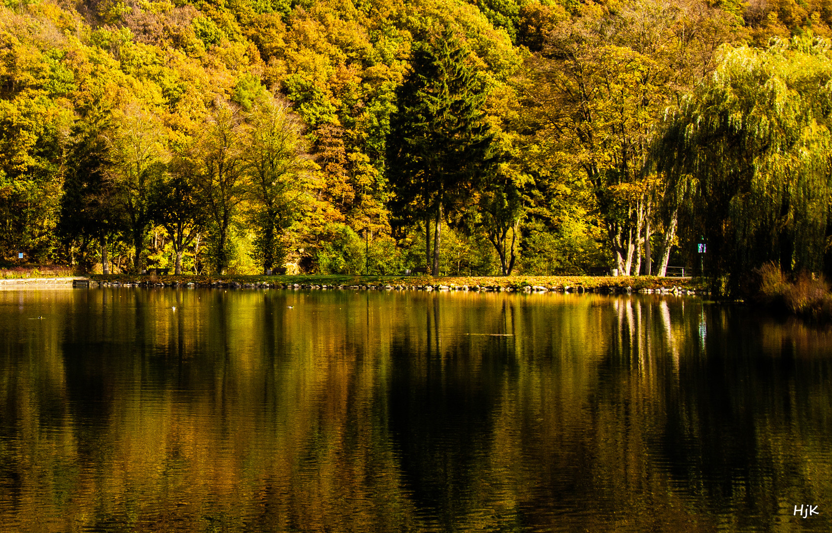 Schwanenweiher in Blankenheim in der Eifel