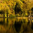 Schwanenweiher in Blankenheim in der Eifel