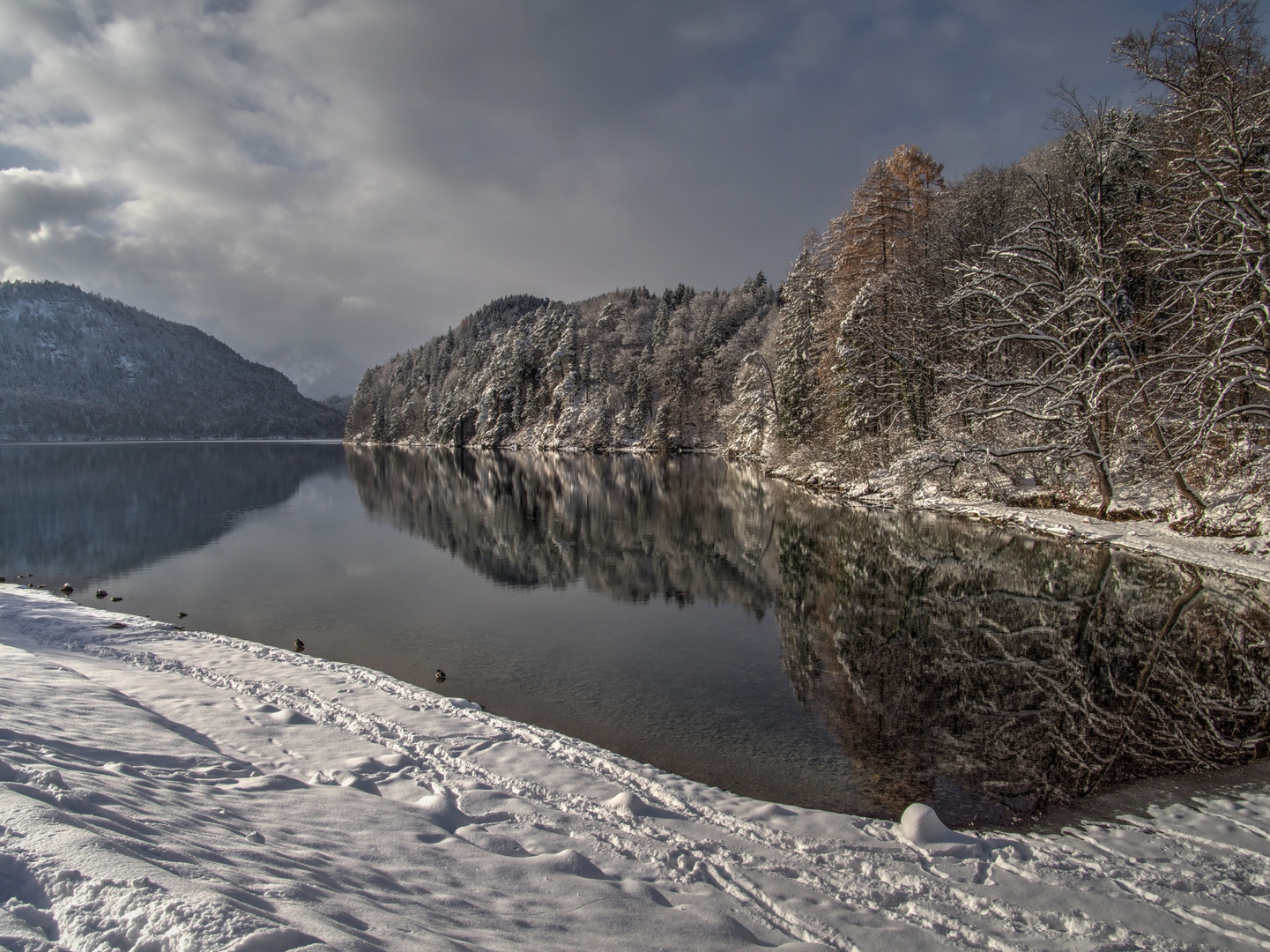 Schwangau