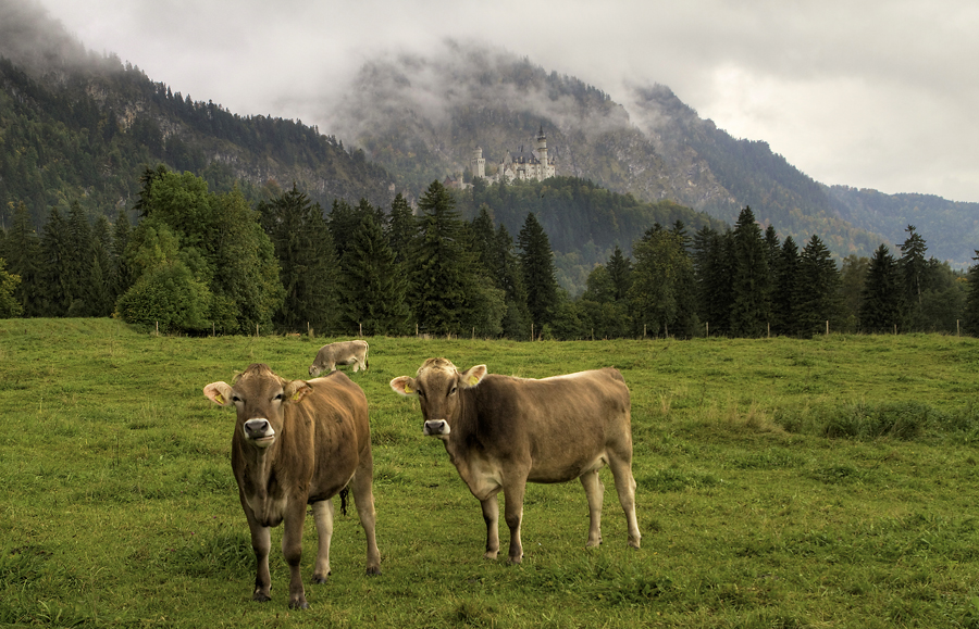 Schwangau III