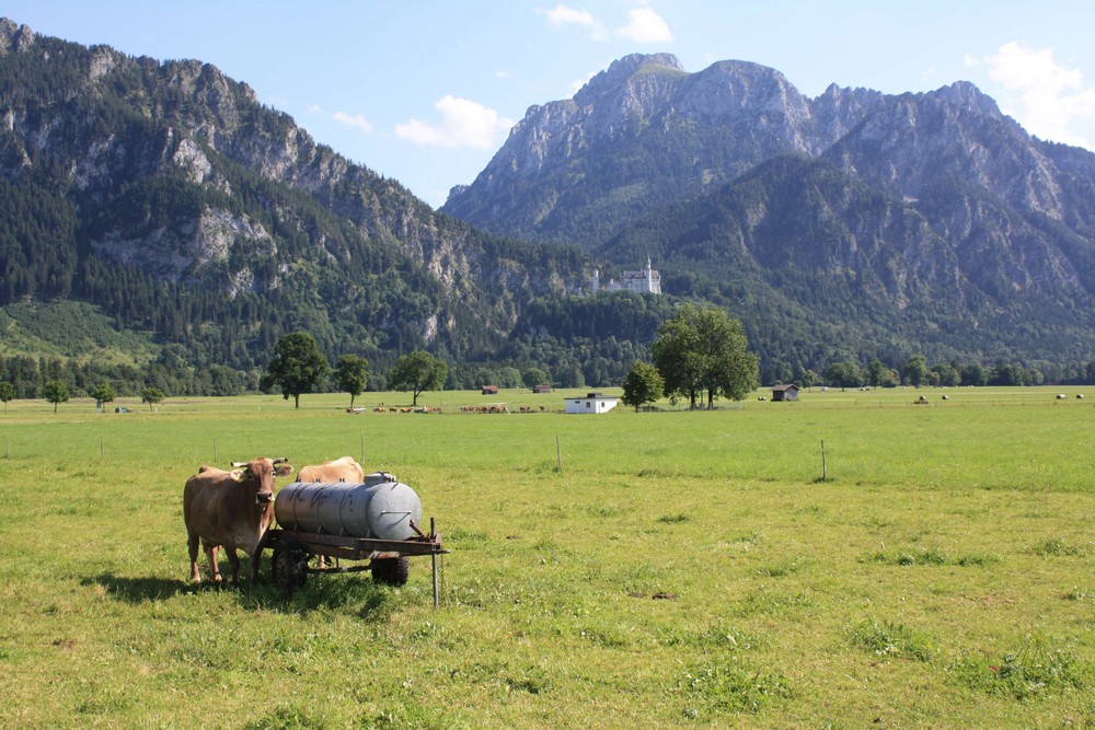 Schwangau mit Blick auf Schloß Neuschwanstein