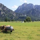 Schwangau mit Blick auf Schloß Neuschwanstein