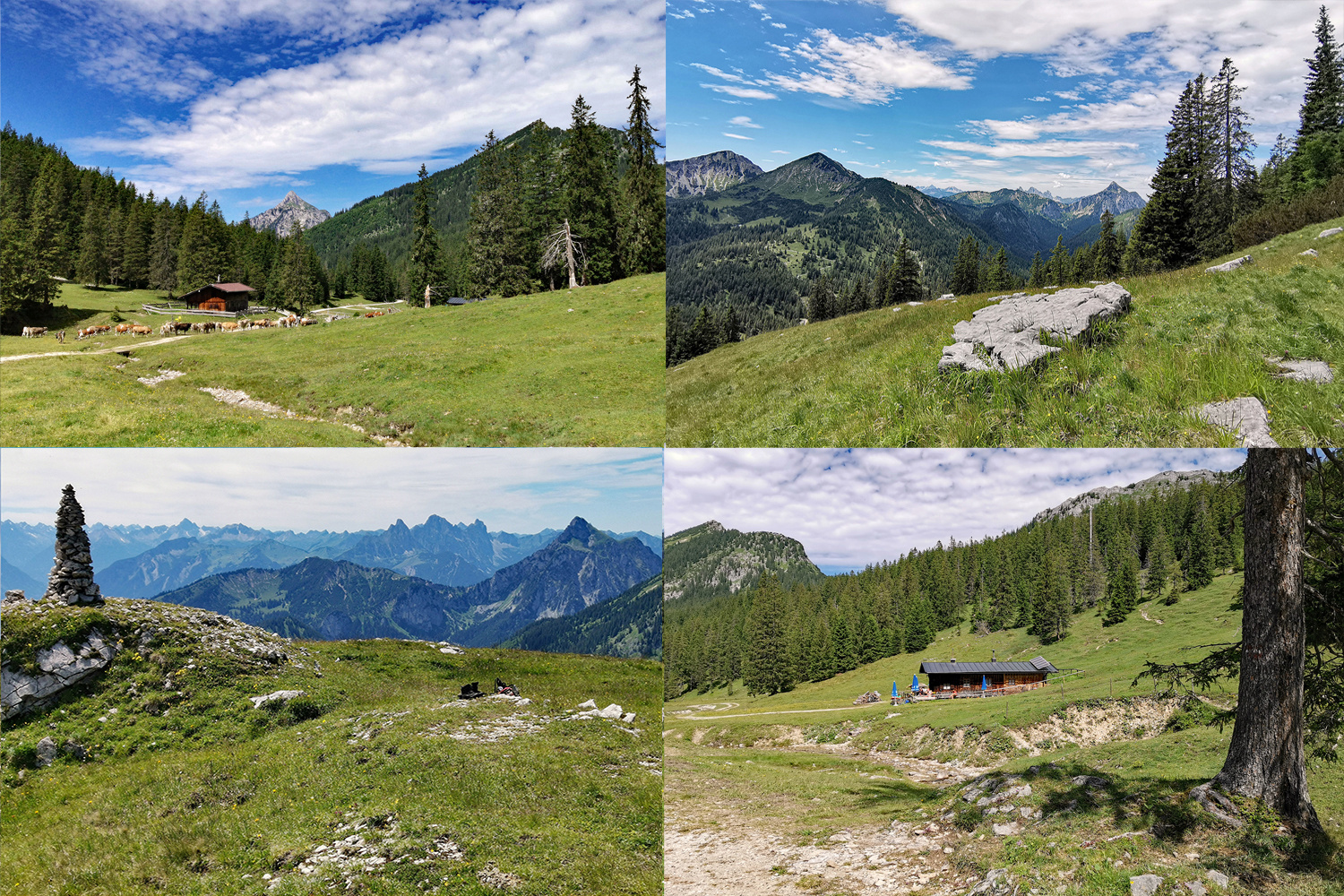 Schwangauer Alpsommer!