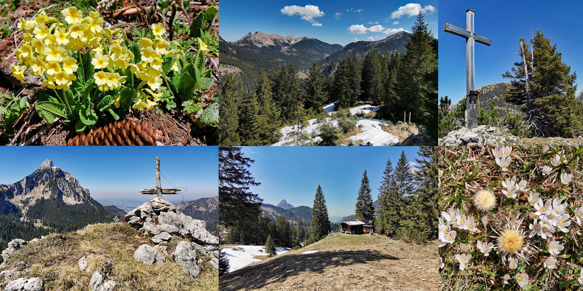 Schwangauer Bergfrühling!