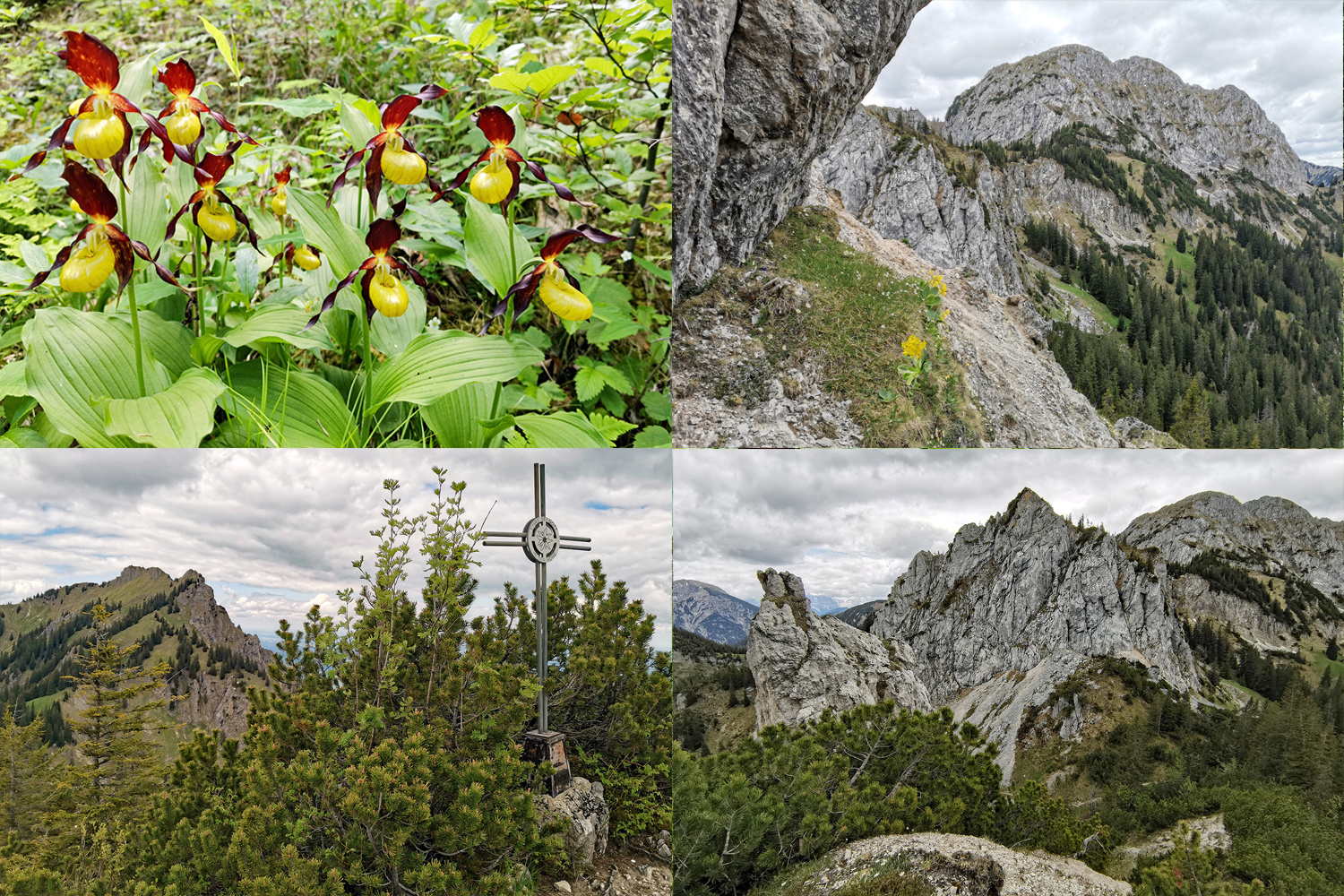 Schwangauer Bergwelt!