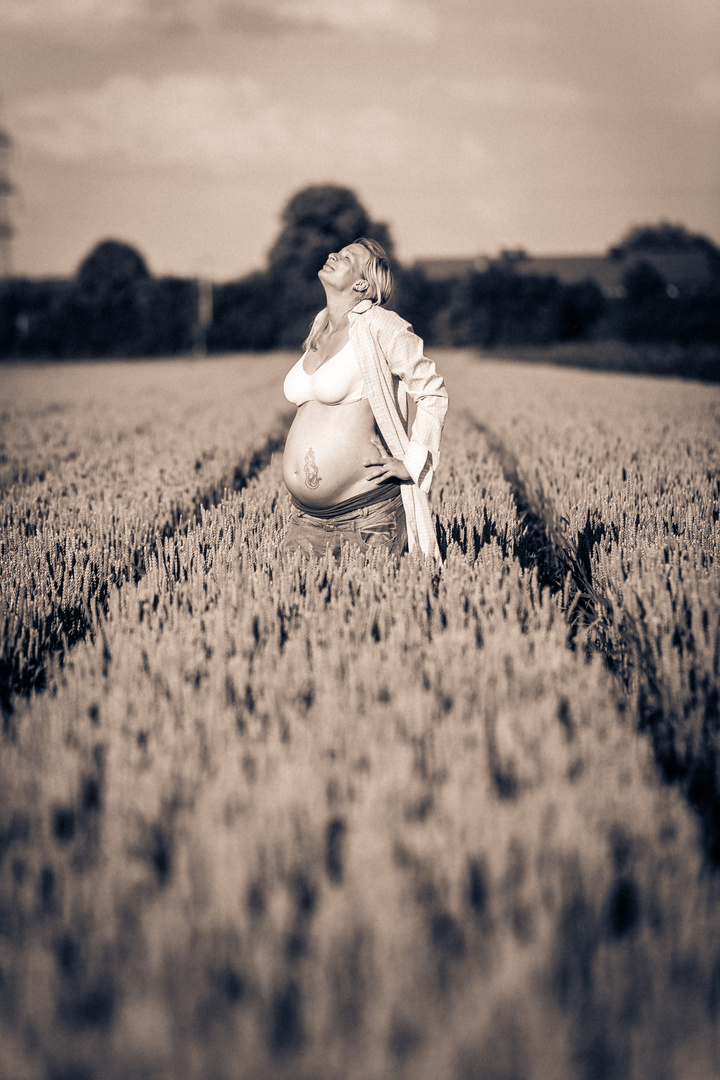 schwanger im Feld