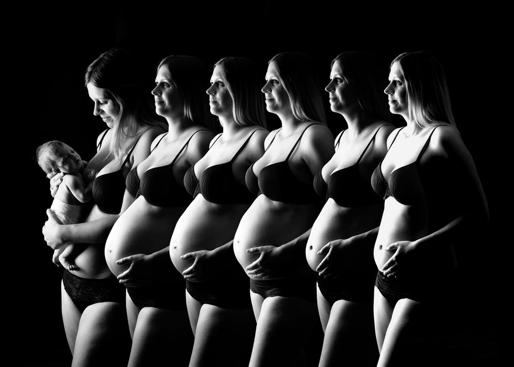 Schwangerschaft in 6 Teilen
