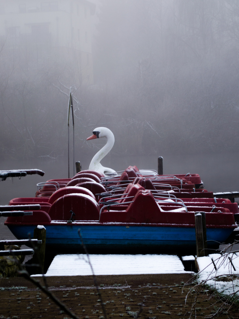 Schwanimsee