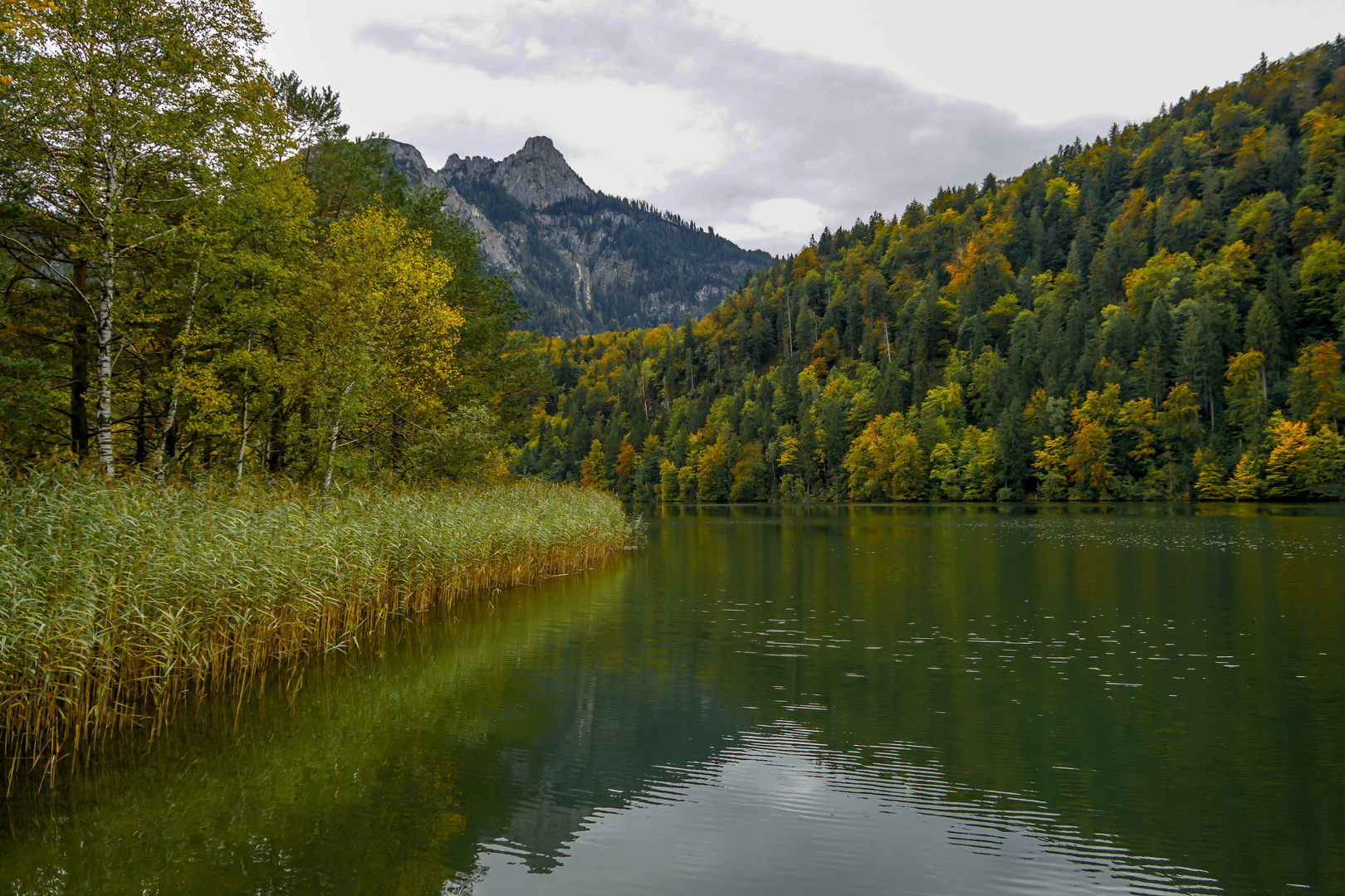 Schwansee (1)