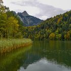 Schwansee (1)