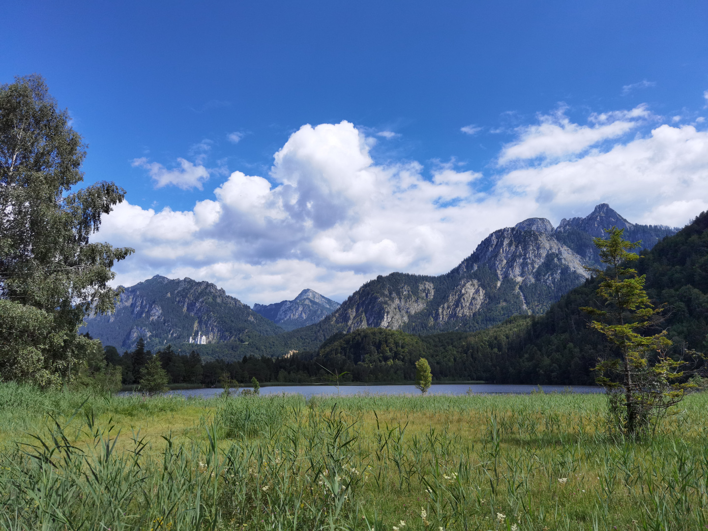 Schwansee