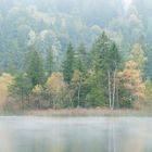 Schwansee im Nebel