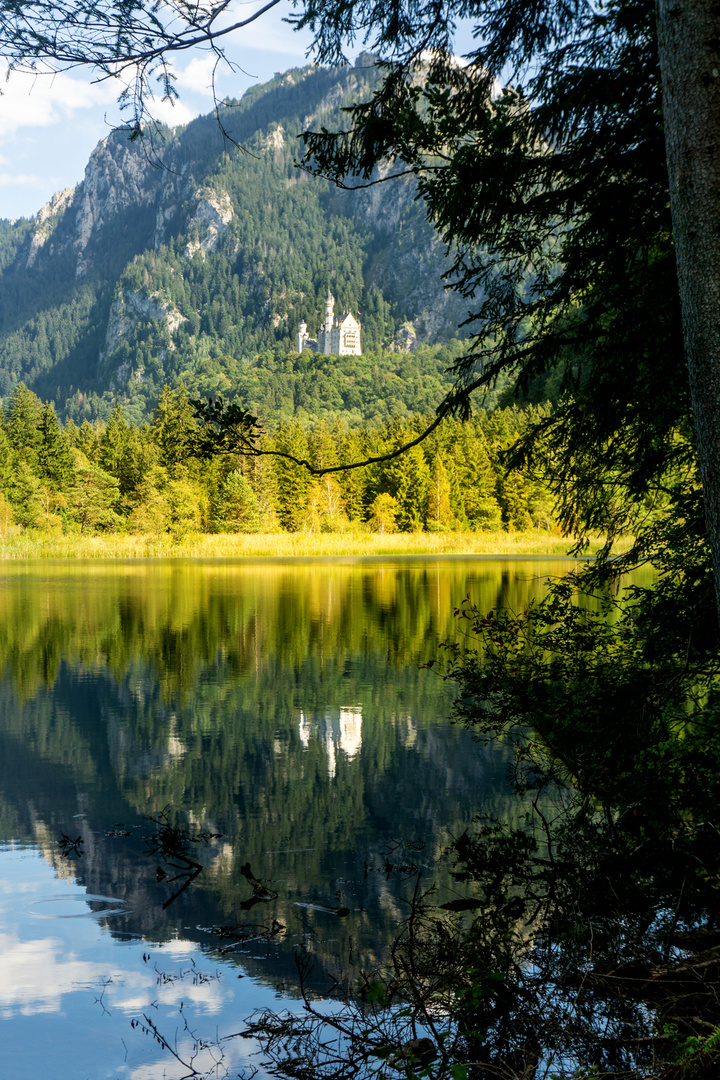 Schwansee mit Spiegelung