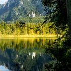 Schwansee mit Spiegelung