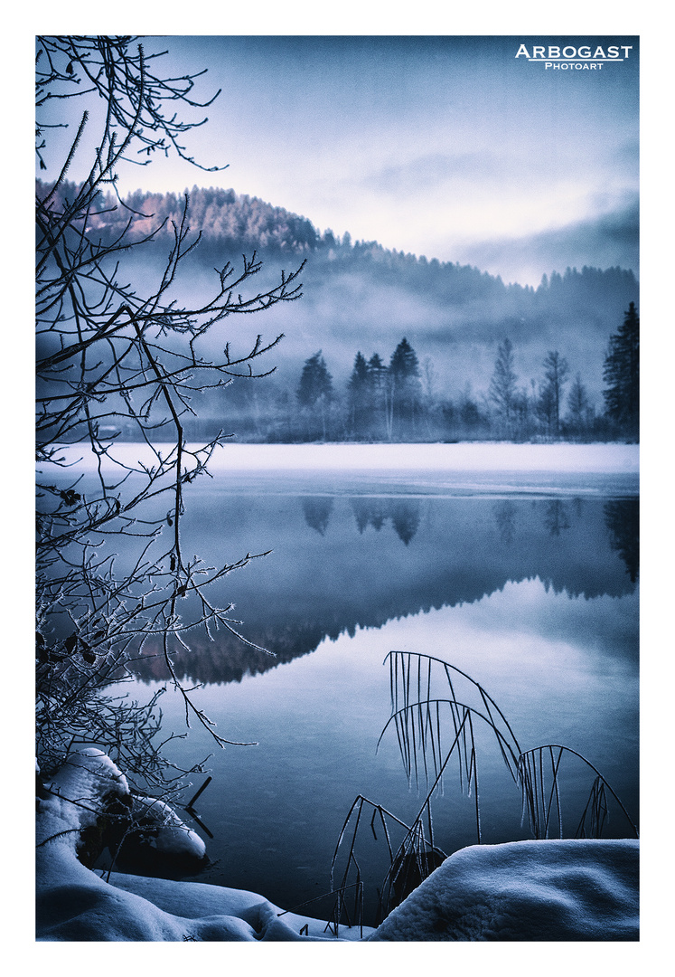 Schwansee Winter