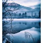 Schwansee Winter