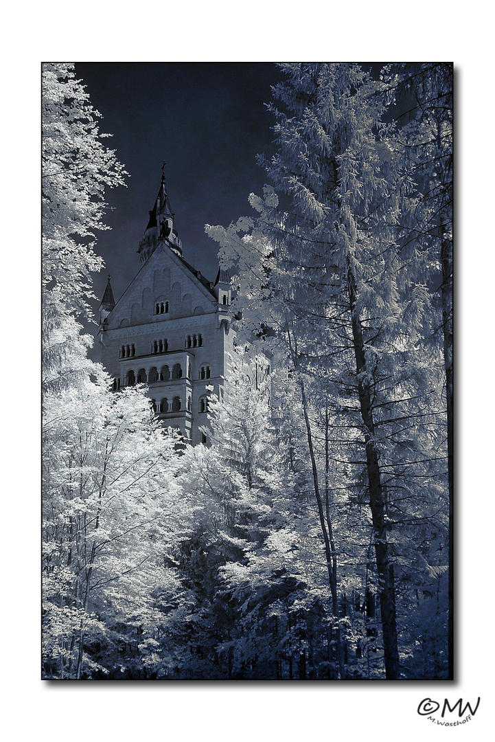 Schwanstein