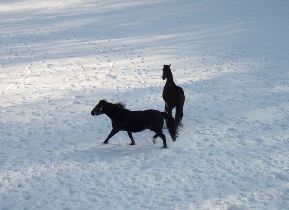 Schwarz auf Weiss