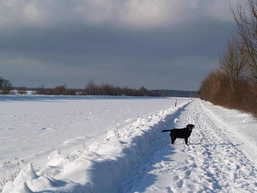 Schwarz auf Weiß