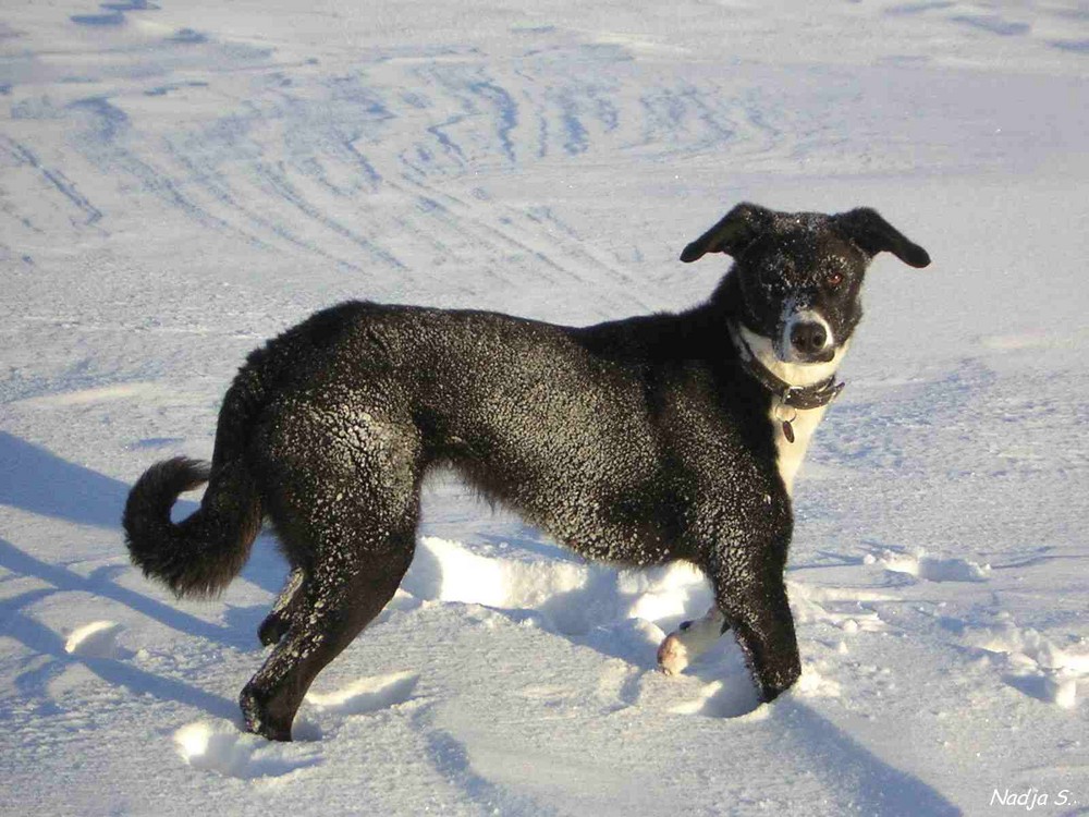 schwarz auf weiss