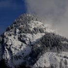 Schwarz Fleesch ganz weiss