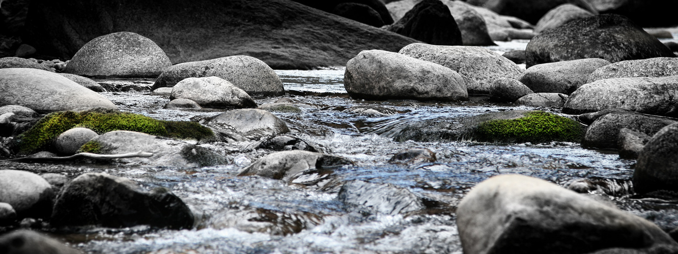 Schwarz – Grün – Wasser