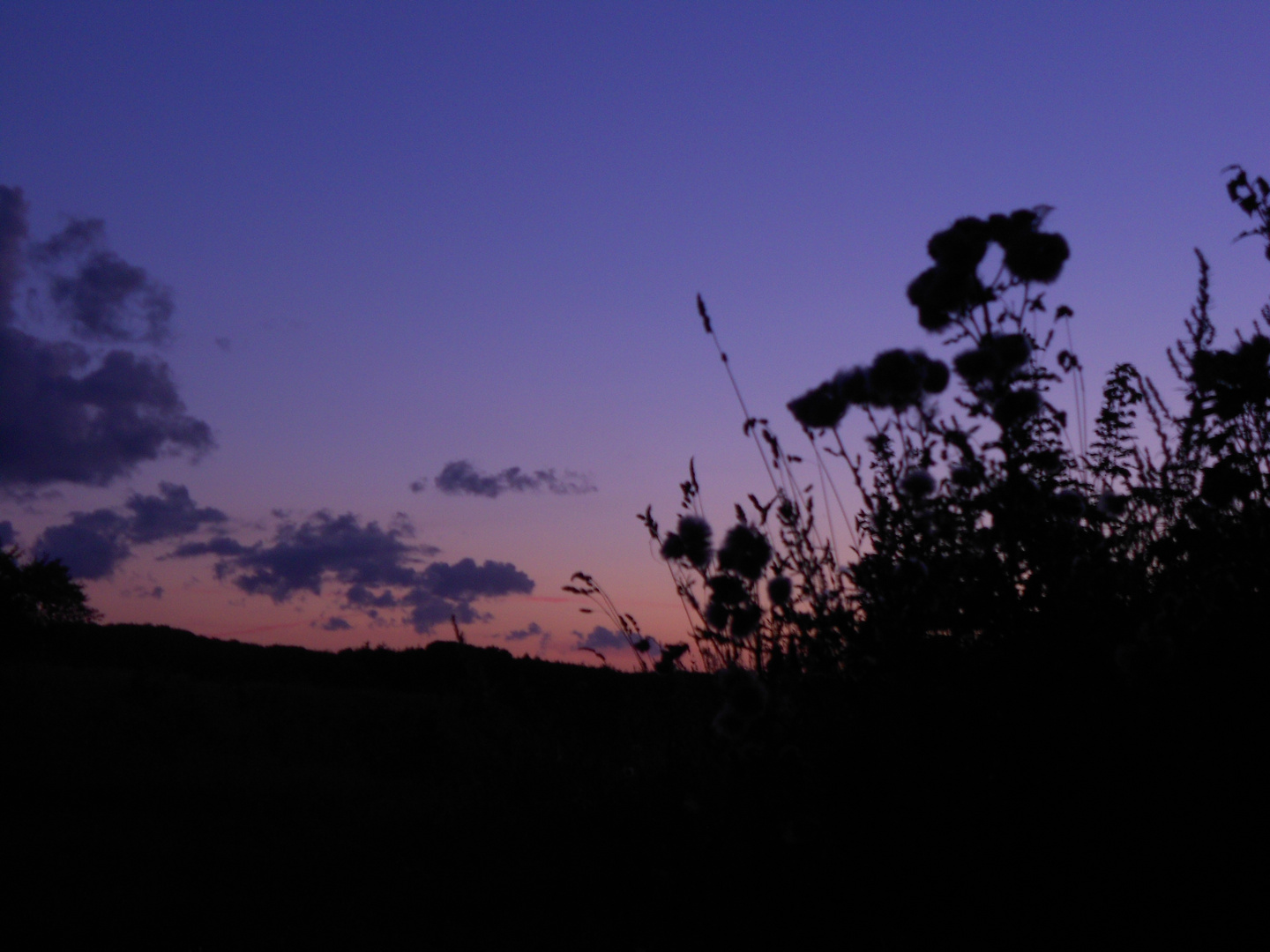 schwarz in die Nacht