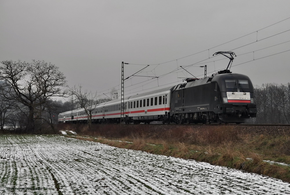 Schwarz mit Weiß am Rhein