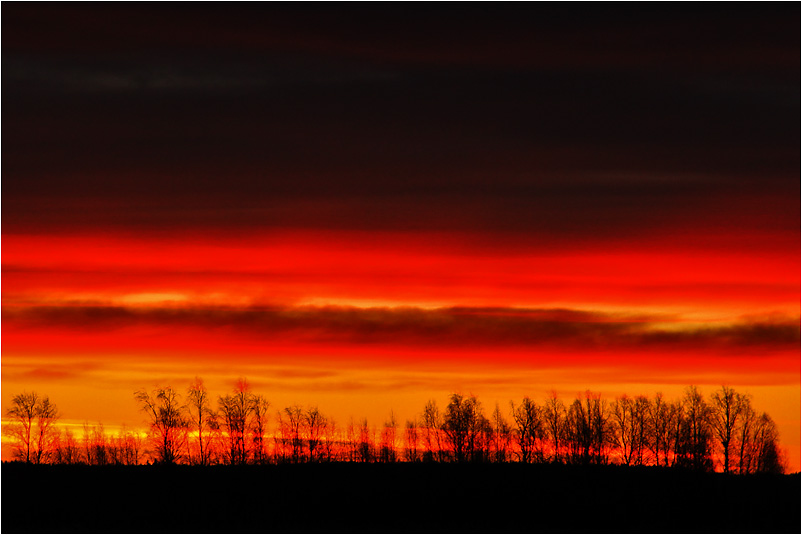 schwarz - rot - gold