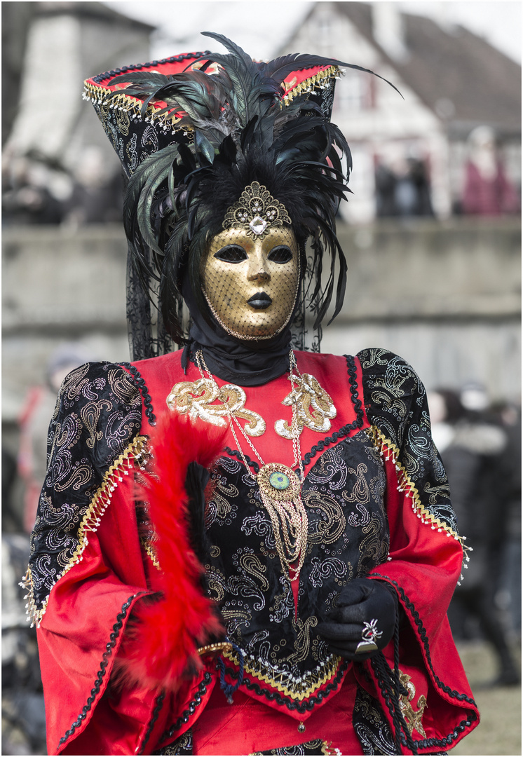 Schwarz Rot Gold Foto & Bild | karneval, street, world ...