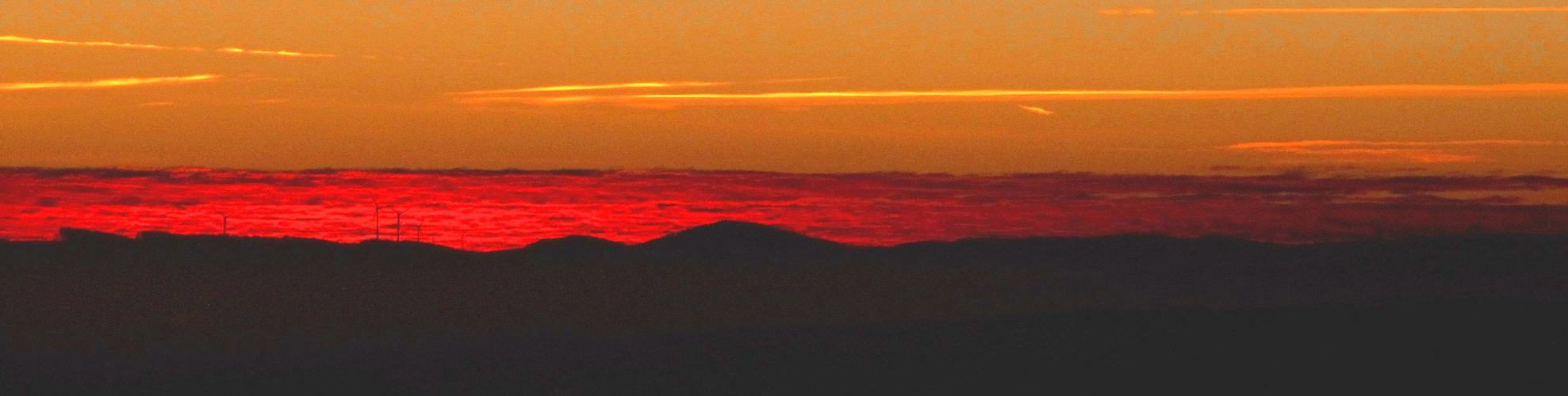 Schwarz, Rot, Gold