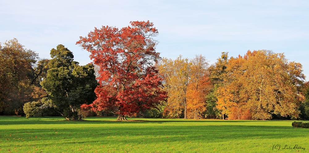 Schwarz, rot, gold